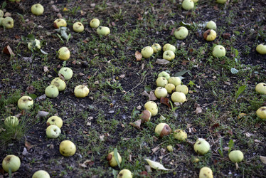 Similar image 21030103