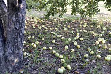 Similar image 21030104