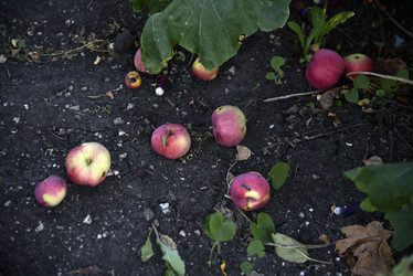 Similar image 21030107