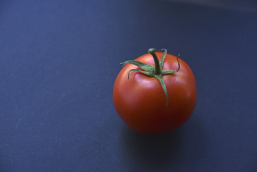 Similar image 21030108