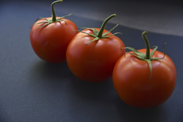 Similar image 21030111