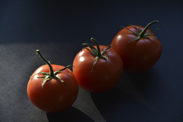 Similar image 21030116