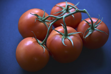 Similar image 21030118