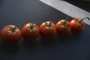 Similar image 21030125