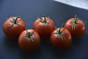 Similar image 21030126