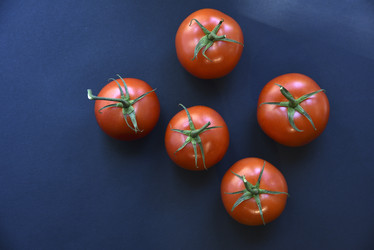 Similar image 21030127