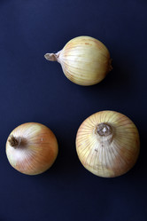 Similar image 21030129