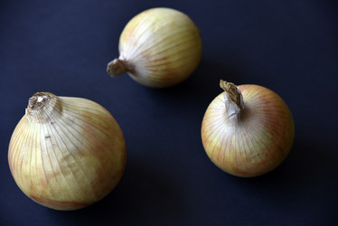 Similar image 21030130