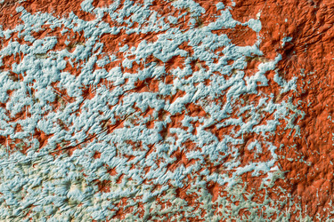 Similar image 21070991