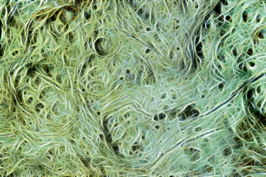 Similar image 21071238