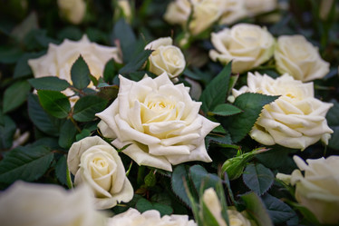 Similar image 21071254