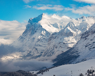 Similar image 21071255