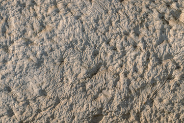 Similar image 21073173