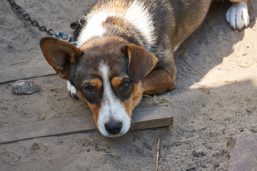 Similar image 21029459