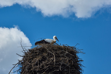 Similar image 21029460