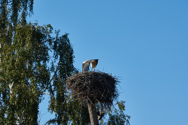 Similar image 21050919