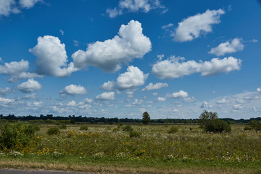 Similar image 21044512