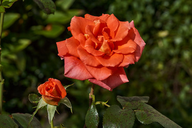 Similar image 21063119