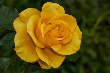 Similar image 21062542