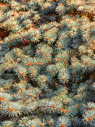 Similar image 21073359