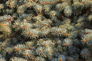 Similar image 21073363