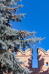 Similar image 21070994