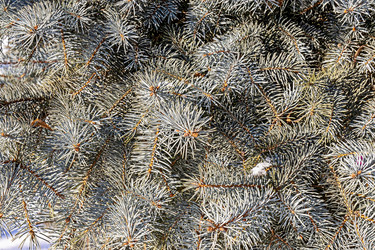 Similar image 21070995