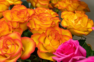 Similar image 21071003