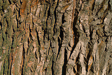 Similar image 21071013