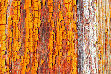 Similar image 21071031