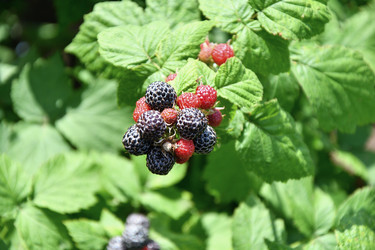 Similar image 21034184