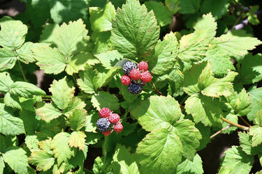 Similar image 21035170