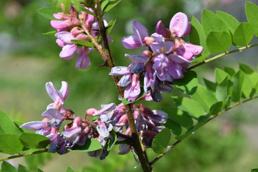 Similar image 21034185