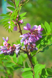 Similar image 21035281