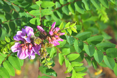 Similar image 21035282