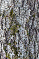 Similar image 21073199