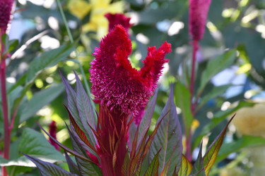 Similar image 21038693