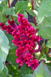 Similar image 21038694