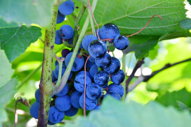 Similar image 21038696