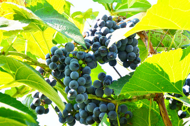 Similar image 21038697