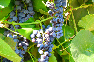 Similar image 21034295