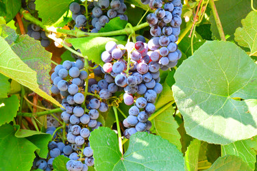 Similar image 21038698