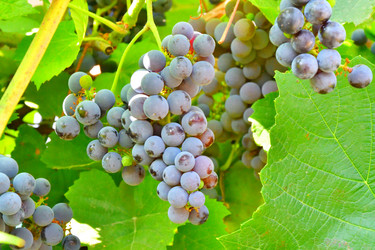 Similar image 21038700