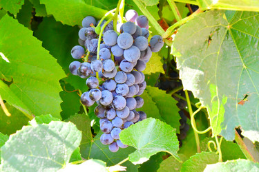 Similar image 21038702