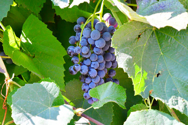 Similar image 21038704