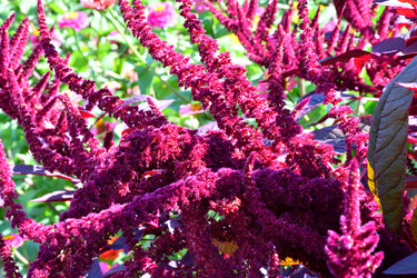 Similar image 21038705