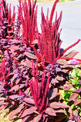 Similar image 21038706