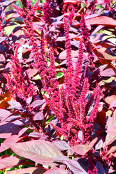 Similar image 21038708