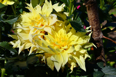 Similar image 21038709