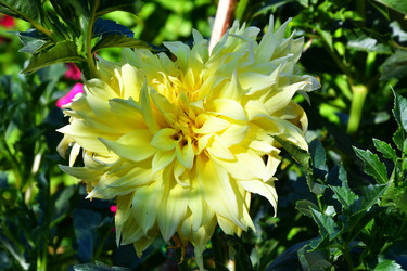 Similar image 21038710